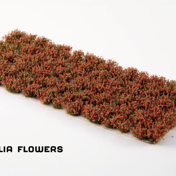 Hovedbilde Gamers Grass: Red Camellia